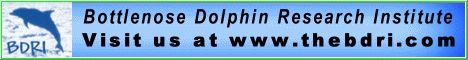 BDRI - Bottlenose Dolphin Research Institute