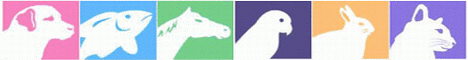 Top Pet Sites